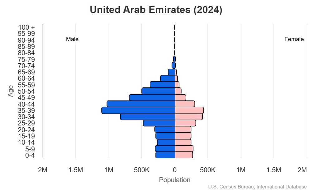 2024 population pyramid