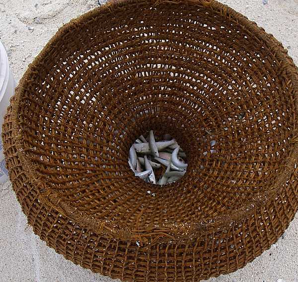 An enu basket fish trap. The cleverly constructed woven baskets are baited and buried halfway in shallow water along a sandy shoreline. Photo courtesy of the US National Park Service.