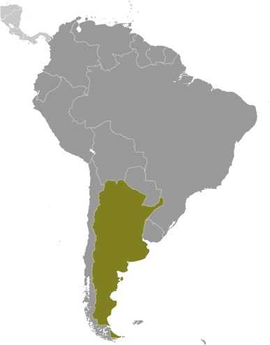Argentina locator map