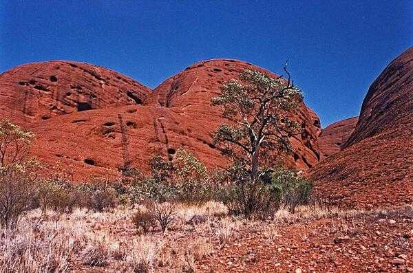 The Olgas, a red sandstone formation in the middle of the Outback.