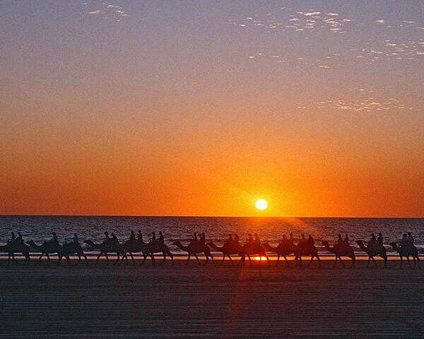 Camel caravan at sunset on Cable Beach, 7 km (4 mi) from Broome, Western Australia. Founded in 1883, Broome&apos;s first industry was pearling - carried out by Japanese divers. Today the pearling industry has given way to oyster harvesting, mining, and tourism.