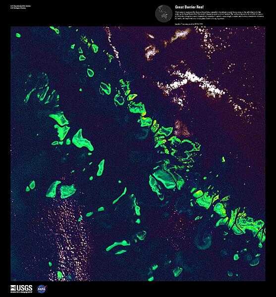 What might be mistaken for dinosaur bones being unearthed at a paleontological dig in this false color satellite image are some of the individual reefs that make up the Great Barrier Reef, the world&apos;s largest tropical coral reef system. The reef stretches more than 2,000 km (1,240 mi) along the coast of Queensland and is a UNESCO World Heritage Site. It supports astoundingly complex and diverse communities of marine life and is the largest structure on the planet built by living organisms. Image courtesy of USGS.