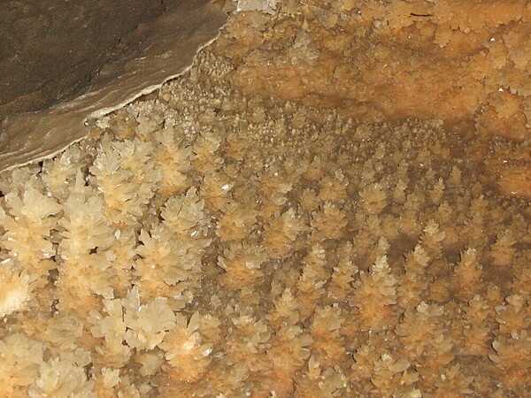 Dogtooth spar calcite crystals at Jenolan Cave.