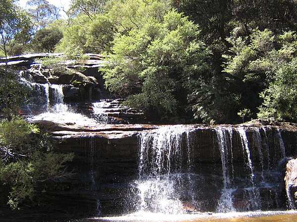 Wentworth Falls, in the Blue Mountains region of New South Wales, is situated approximately 100 km west of Sydney  and about 8 km east of Katoomba. This view is of the upper part of the falls.