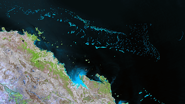 So extensive, it is visible from space, the Great Barrier Reef is the world's largest coral reef ecosystem. Stretching 2,300 km along Australia’s northeast coastline, this complex of shallow water reefs and islands is home to thousands of species of fish, invertebrates, algae, reptiles, birds, and algae. Photo courtesy of NOAA National Environmental Satellite, Data, and Information Service (NESDIS).