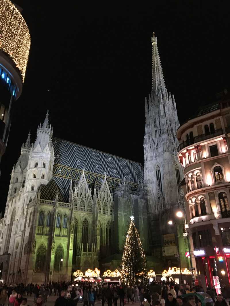 Saint Stephens Cathedral sits at the center of Vienna’s historic Old Town. During the holiday season, a Christmas market fills the plaza below the church with booths, trees, and decorations.