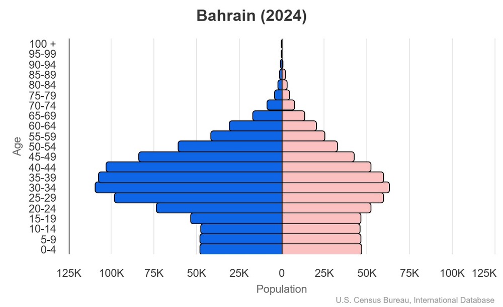 2024 population pyramid