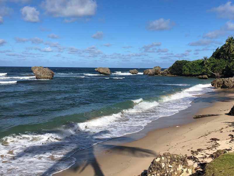 Bathsheba Beach is a popular surfing spot along the rugged east coast. Limestone formations dot the coastline providing a stark contrast to the clear waters.