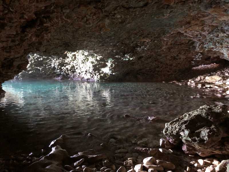Flower Cave on the Barbados north coast is a hollowed-out limestone cave that gets partially submerged during high tide. Tourists can come visit during low tide and peer out to the ocean.