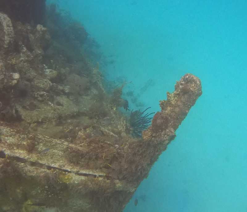 There are numerous shipwrecks around the island of Barbados that are easily accessible to snorkelers and divers. These nautical remnants are home to coral formations and numerous fish.