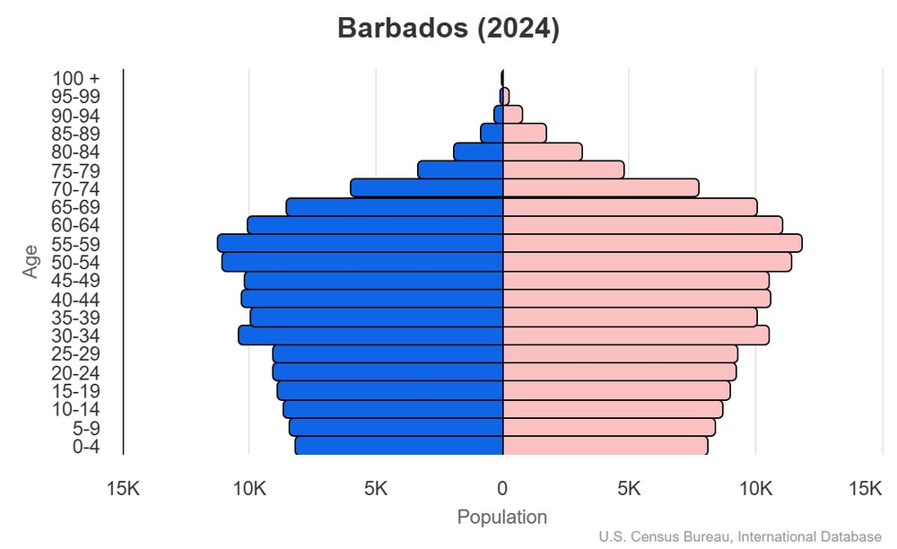 2024 population pyramid