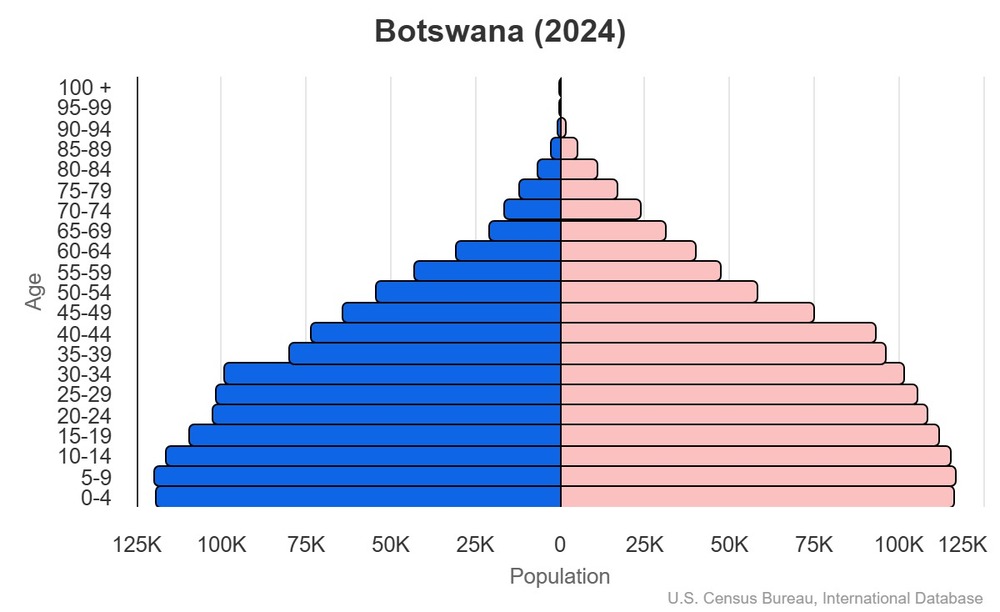 2024 population pyramid