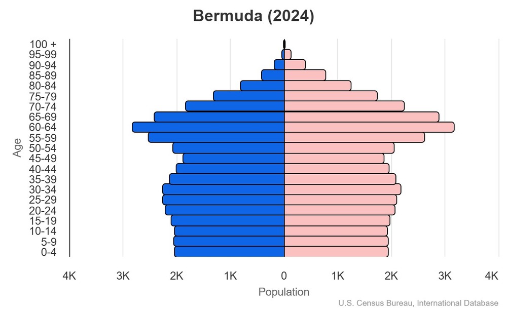 2024 population pyramid