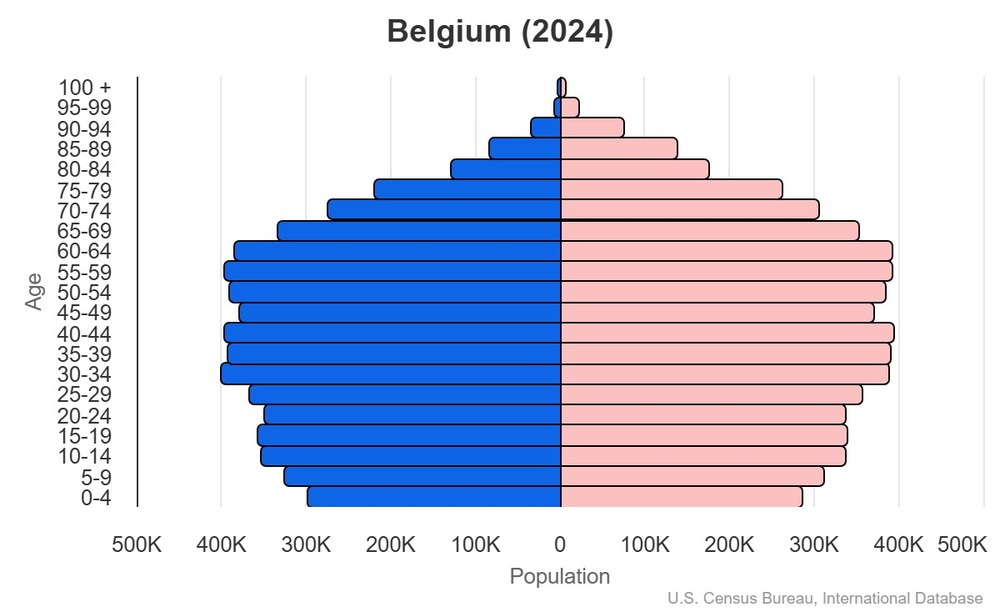 2024 population pyramid