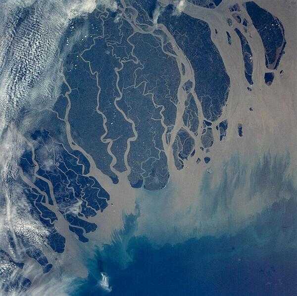 The Ganges River Delta is the largest inter-tidal delta in the world. With its extensive mangrove mud flats, swamp vegetation, and sand dunes, it is characteristic of many tropical and subtropical coasts. As seen in this photograph, the tributaries and distributaries of the Ganges and Brahmaputra Rivers deposit huge amounts of silt and clay that create a shifting maze of waterways and islands in the Bay of Bengal. Image courtesy of NASA.