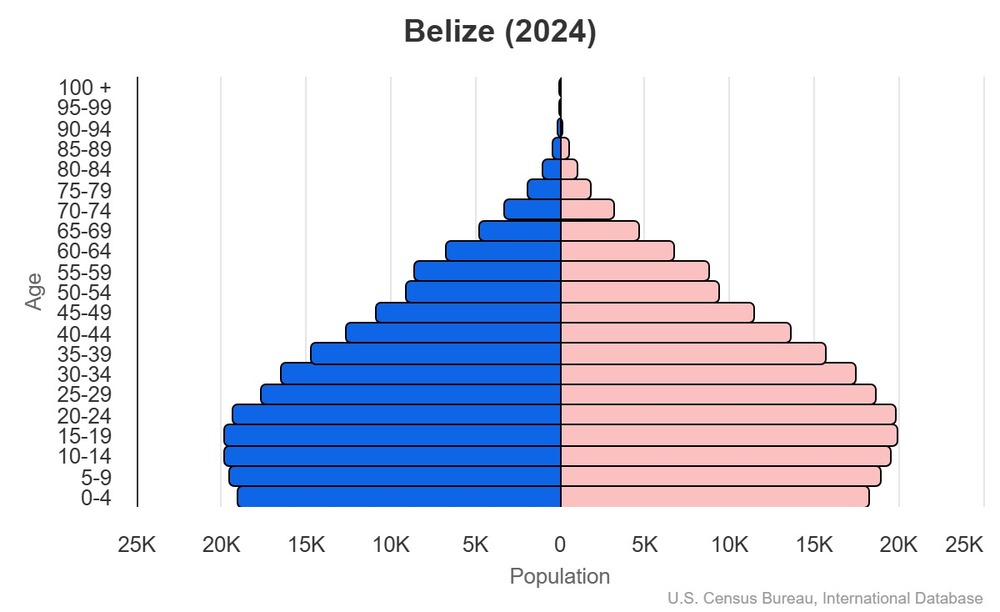2024 population pyramid