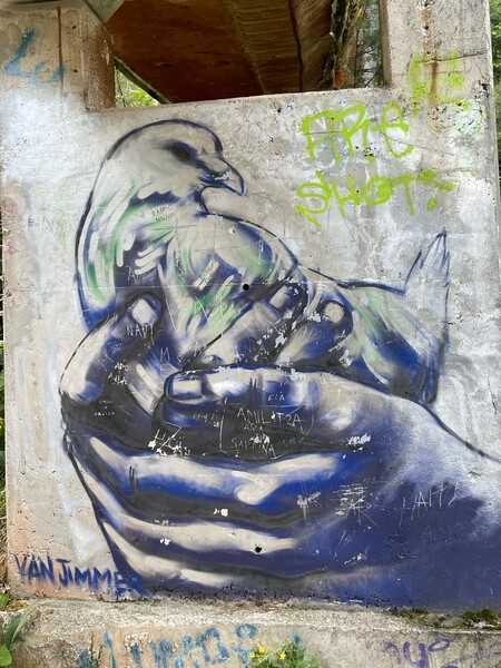 Another example of the graffiti on the bobsled track on Trebevic Mountain.