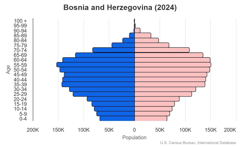 2024 population pyramid