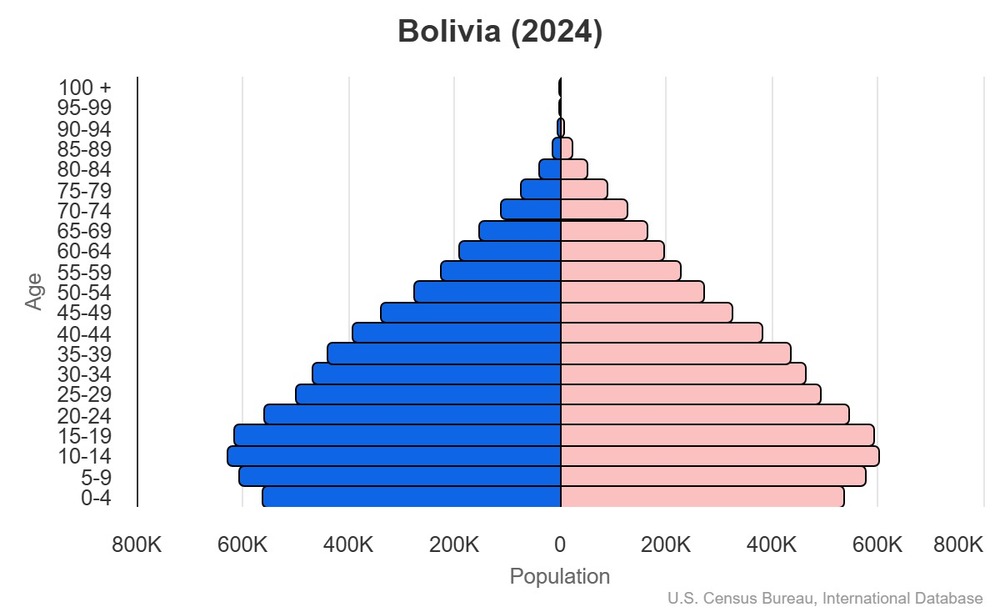 2024 population pyramid