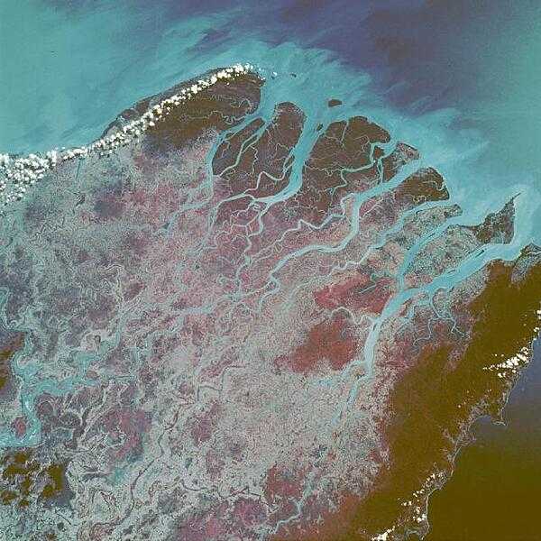 Infrared film helps accentuate plant growth and sediment accumulations in this near-vertical photograph of the numerous mouths of the Irrawaddy River in western Burma. The Irrawaddy Delta, one of the world&apos;s great rice-producing regions, consists of fertile river mud and sand deposited during the last 2 million years. The deep reds and violets at the southern end of the multichanneled delta (top of photo) reflect large mangrove forests. The light blues show the sediment plumes within the stream channels extending southward into the Andaman Sea. Image courtesy of NASA.