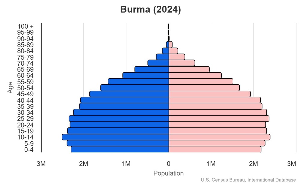 2024 population pyramid
