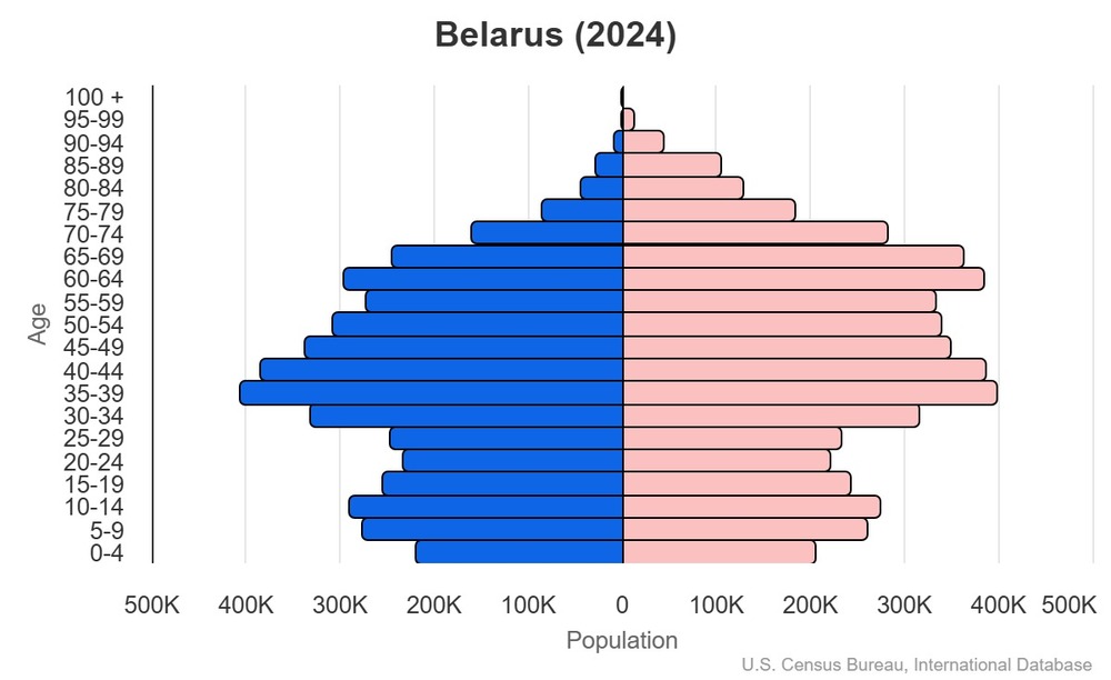 2024 population pyramid
