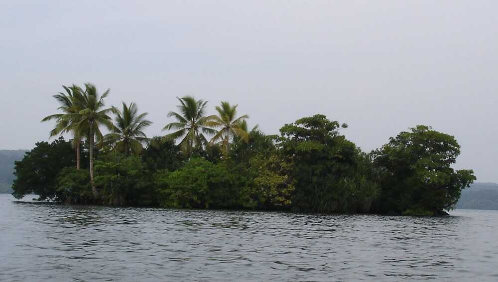 The Solomon Islands are located in the South Pacific Ocean, and the group’s  East Rennell Island (pictured) in the southernmost part is one of the world’s largest raised coral atolls. The island measures 86 km long (53 mi) and 15 km (9.3 mi) wide and is covered with dense forest. The island’s Lake Tegano, formerly a lagoon, is the largest lake in the region at 15,500 hectares (60 sq mi). The many limestone islets on the lake’s brackish waters contain numerous animals, insects, and plants that are unique to the island. East Rennell was designated a World Heritage site in 1998.