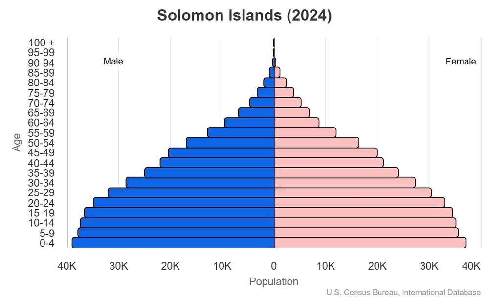 2024 population pyramid