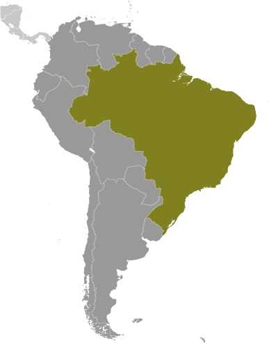 Brazil locator map