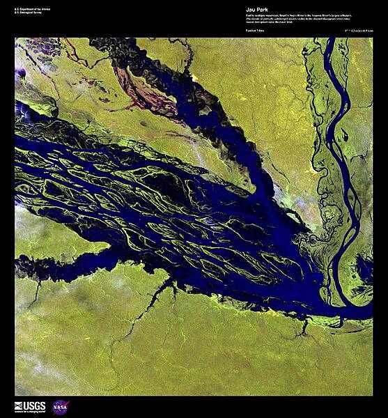 This photograph shows a section of the Negro River in Jau National Park, Amazonas state. Fed by multiple waterways, the Negro River is the Amazon&apos;s largest tributary. The mosaic of partially-submerged islands visible in the channel of this enhanced satellite image disappears when rainy season downpours raise the water level. Jau National Park is South America&apos;s largest forest reserve, covering 23,000 sq km (8,900 sq mi); it is listed with three other protected areas as a UNESCO World Heritage Site. Image courtesy of USGS.