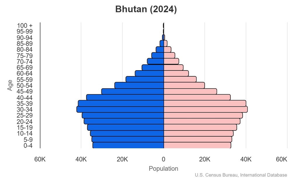 2024 population pyramid