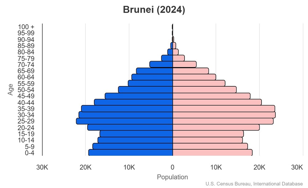 2024 population pyramid
