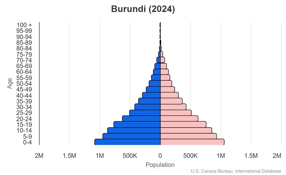 2024 population pyramid