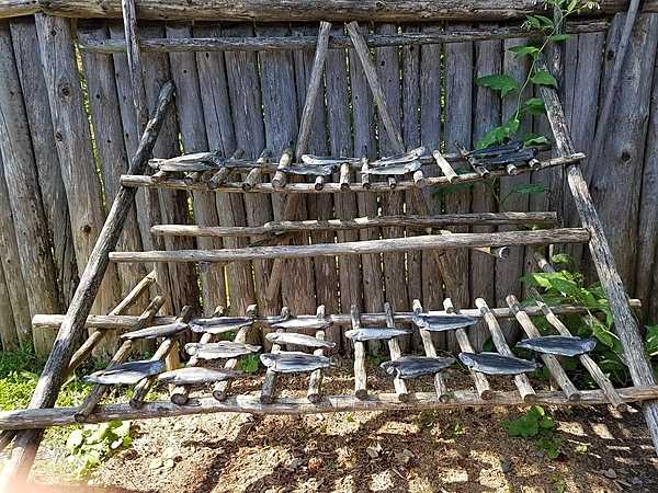 Rack for drying fish at the replica Wendat (Huron) settlement.