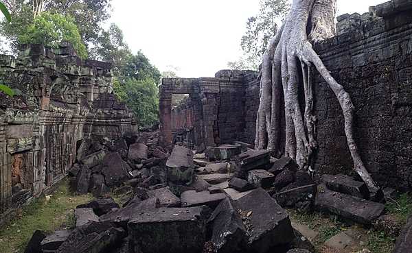 An area of the Preah Khan temple that has not undergone any restoration and is full of tumbled building blocks and encroaching vegetation.