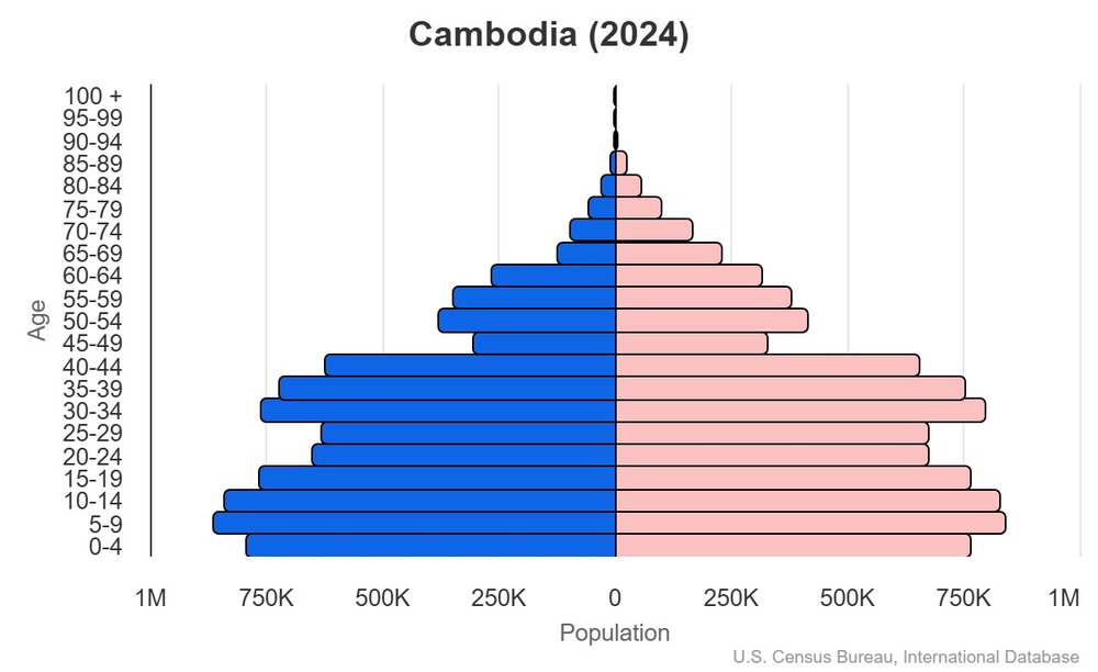 2024 population pyramid