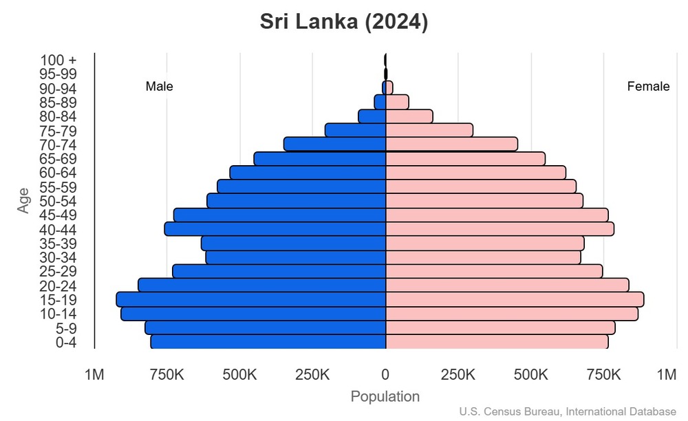 2024 population pyramid