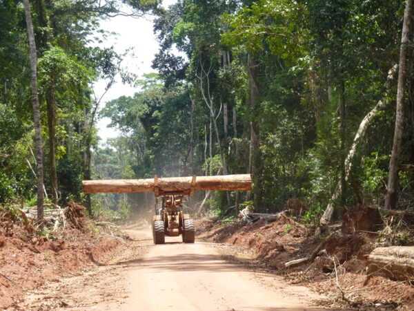 The majority of new roads in the Republic of the Congo are built for selective logging activities, which is one of the main economic activities in the rainforest. Companies practice selective logging where only the most valuable tree species are cut, which usually results in cutting one tree per hectare on average. In order to harvest this timber though, the companies must build roads, usually unpaved, that allow the trucks and tractors to drive deep into the forest. The image shows a scene of timber extraction. Photo courtesy of NASA / Fritz Kleinschroth.