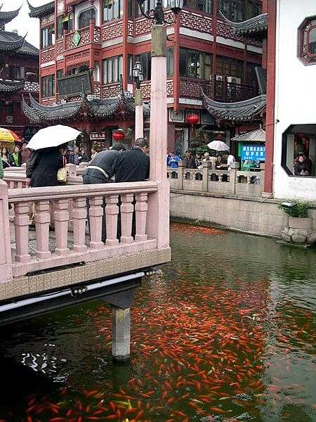 The Huxinting Teahouse (Mid-Lake Pavilion Teahouse) in Shanghai was built as a pavilion in the middle of an artificial lake in 1784, but converted to a teahouse in 1855. It can accommodate 200 patrons at a time and is visited by people from all over the world.