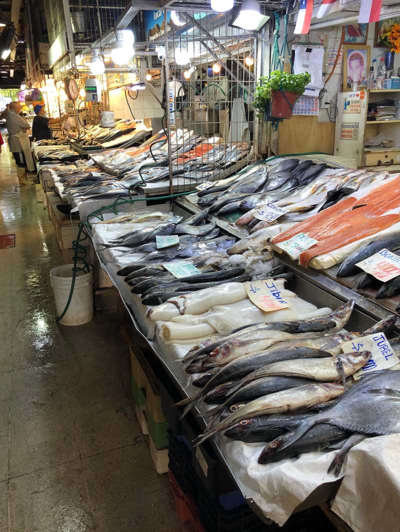 Mercado Central in Santiago is well-known for the array of fresh seafood it has on offer.  The market is popular with tourists and has a number of restaurants.