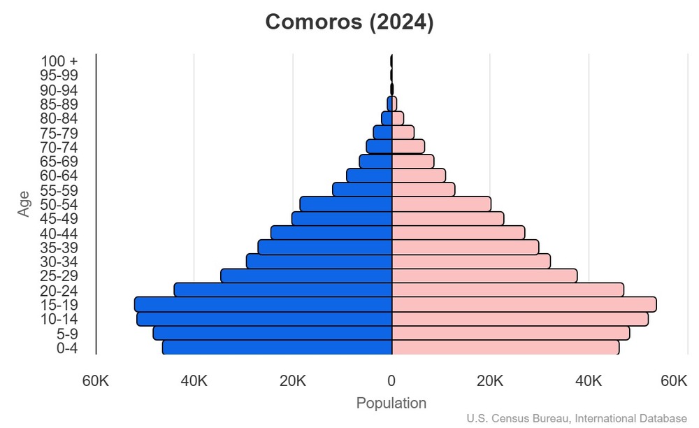 2024 population pyramid