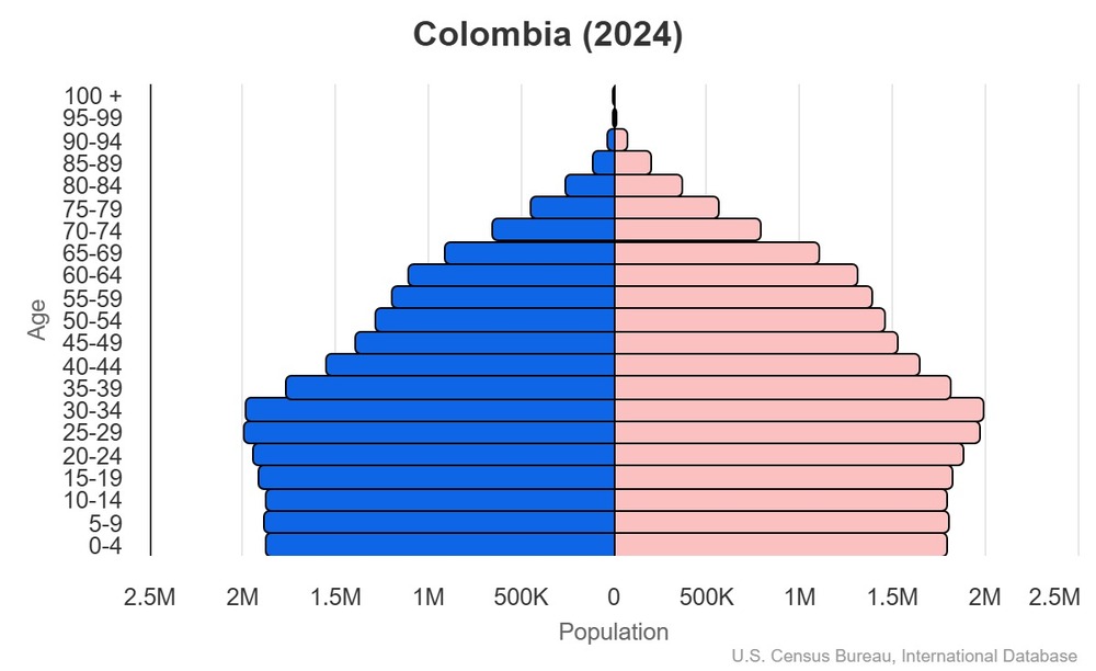 2024 population pyramid