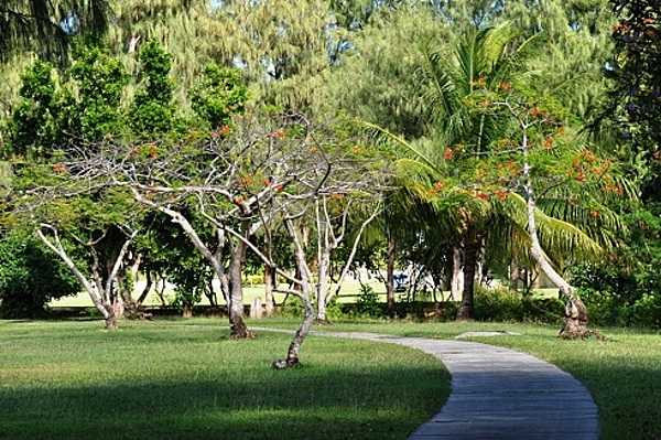 Scenic pathway at the American Memorial Park at Garapan. Photo courtesy of the US National Park Service.