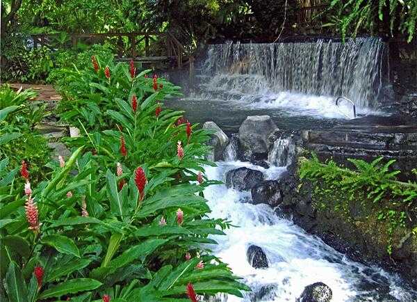 The waters of the Tabacon Hot Springs that flow through the jungle are naturally heated by the nearby Arenal Volcano.