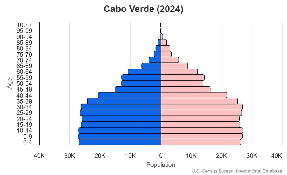 2024 population pyramid