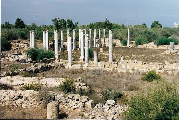 Another view of the Roman gymnasium columns at Salamis.