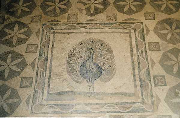 Pictured is a mosaic of a peacock in the House of Dionysos (so named because many of the mosaics there relate to the worship of the god Dionysos) at the Paphos Archeological Park located in southwest Cyprus. At this ancient Greek and Roman coastal city the most significant remains discovered so far are four large Roman villas:  the House of Dionysos, the House of Aion, the House of Theseus, and the House of Orpheus all of which have well-preserved mosaic floors.  Paphos became a UNESCO World Heritage site in 1980.