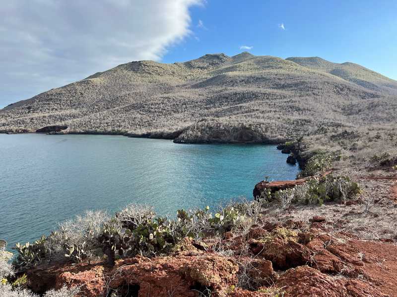 Rabida Island, in the Galapagos, is one of the uninhabited islands in this isolated chain off the coast of Ecuador. The iron-rich lava deposits prevent most things from growing here. However, a variety of prickly pear cactus flourishes in this harsh environment.