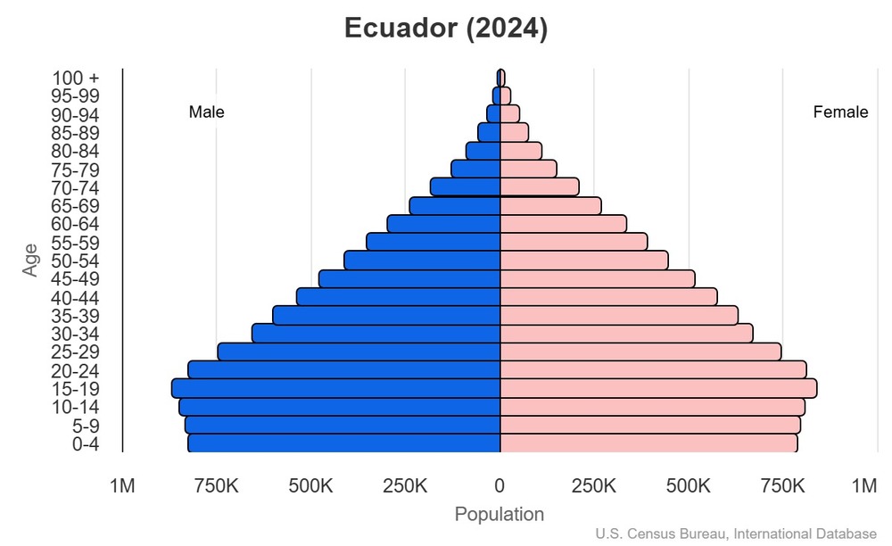 2024 population pyramid