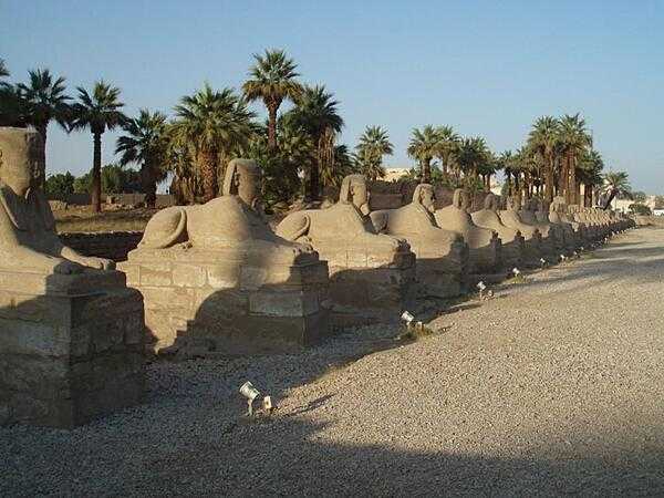 Avenue of the Sphinxes at the Temple of Luxor leading north to the Temple of Karnak.  The avenue is being excavated.